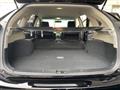 2006 Toyota Harrier