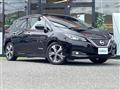 2017 Nissan Leaf