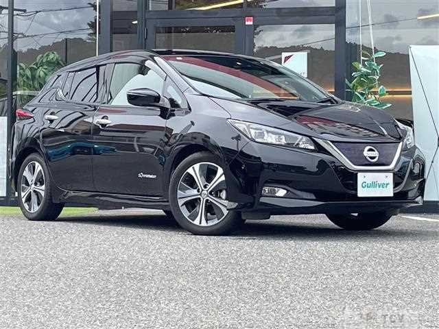 2017 Nissan Leaf