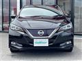 2017 Nissan Leaf