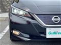 2017 Nissan Leaf