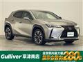 2020 Lexus UX