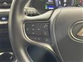 2020 Lexus UX