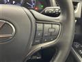 2020 Lexus UX