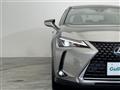 2020 Lexus UX