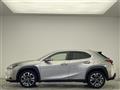 2020 Lexus UX
