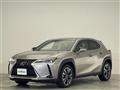 2020 Lexus UX