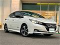 2022 Nissan Leaf