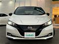 2022 Nissan Leaf