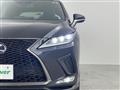 2019 Lexus RX