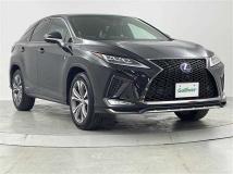 2019 Lexus RX