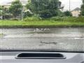 2024 Toyota Noah