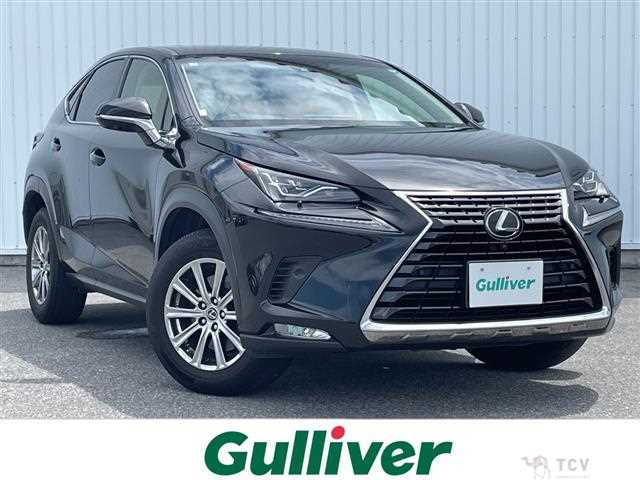 2017 Lexus NX