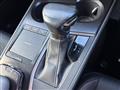 2020 Lexus UX