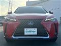 2020 Lexus UX