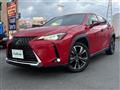 2020 Lexus UX