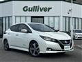 2020 Nissan Leaf