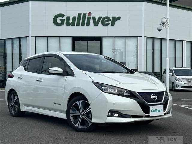 2020 Nissan Leaf