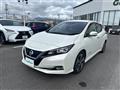 2020 Nissan Leaf