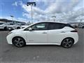 2020 Nissan Leaf