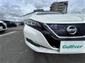 2020 Nissan Leaf