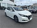 2020 Nissan Leaf