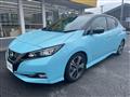 2018 Nissan Leaf