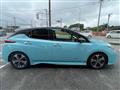2018 Nissan Leaf