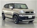 2021 Suzuki XBEE