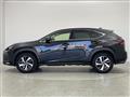 2019 Lexus NX