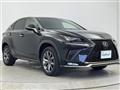 2018 Lexus NX