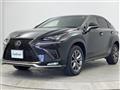 2018 Lexus NX