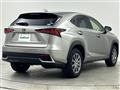 2019 Lexus NX