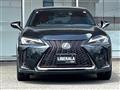2019 Lexus UX