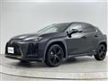 2021 Lexus UX