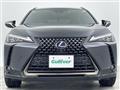2021 Lexus UX