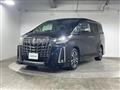 2019 Toyota Alphard