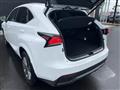 2021 Lexus NX