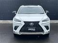 2021 Lexus NX