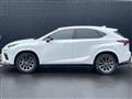 2021 Lexus NX