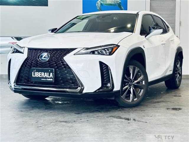 2019 Lexus UX
