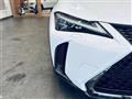 2019 Lexus UX