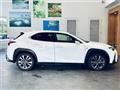 2019 Lexus UX