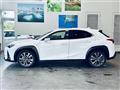 2019 Lexus UX