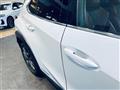 2019 Lexus UX