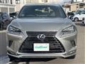 2021 Lexus NX