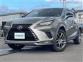 2021 Lexus NX