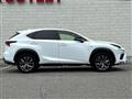 2021 Lexus NX