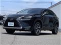 2019 Lexus NX