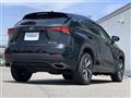 2019 Lexus NX
